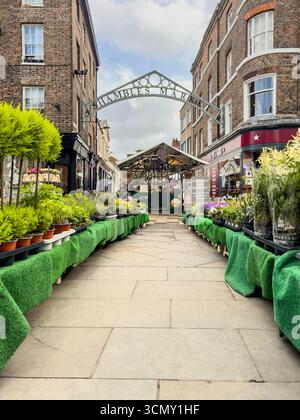 Eintritt zum Shambles Market in York, Yorkshire, mit Pflanzen- und Blumenständen entlang des Weges. UK Stockfoto