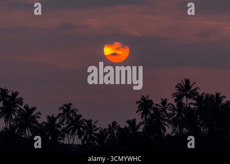 Sri Lanka - Unawatuna - Beach - Red sun descending over palm tree ridge Stockfoto