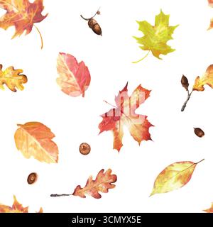 Nahtloses Laubmuster mit roten gelben Ahornblättern, Eichenblättern und Eicheln. Hintergrund der Herbsternte. Herbstlaub Clipart. Handgezeichnetes Aquarell il Stockfoto