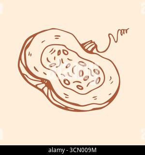 Klassische und realistische Kürbishalbikone Vektor Silhouette Illustration. Handgezeichnet in Doodle-Gravur-Stil. Stock Vektor