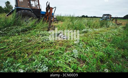 Landwirte, die Gras mähen, während Traktoren auf dem Feld sind Stockfoto