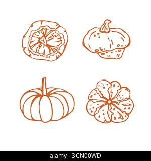 Elegantes lineares Vektor-Kürbisset mit verschiedenen runden Kürbissen. Designelemente für Menü, gesundes Essen, Kochbuch, Färben, Herbsternte Stock Vektor