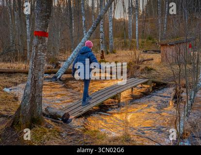 Womancrossing eine kleine Holzstege über einen Bach in einem Wald in Schweden, entlang eines markierten Wanderweges Stockfoto