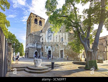 Cattedrale di San Giusto Martyre of Triest, Friaul-Julisch Venetien, Italien Stockfoto