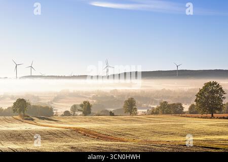 Morgennebel über Feldern auf dem Land mit Windturbinen am Horizont Stockfoto