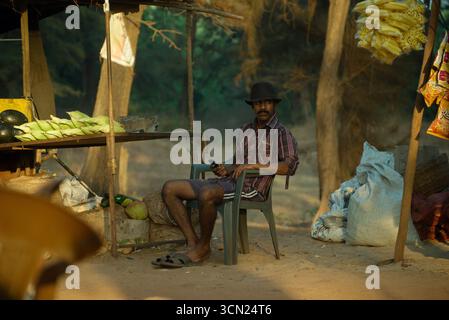 Goa, Indien - 19. Februar 2016: Porträt eines indischen Straßenverkäufers mittleren Alters, der auf einem Stuhl sitzt und auf dem Handy SMS schreibt. Marktstand mit Bio-Gemüse, Mais und Kokosnüssen Stockfoto