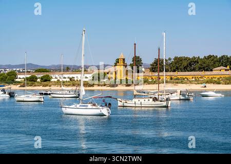Segelboote ankern im Gilao Fluss, vor dem Strand Praia da Ilha de Tavira, auf der Insel vor Tavira, Algarve, Portugal Strand Ilha de Tavira *** Segelboote vor Anker im Fluss Gilao, vor dem Strand Praia da Ilha de Tavira, auf der Insel vor Tavira, Algarve, Portugal Ilha de Tavira Strand Stockfoto