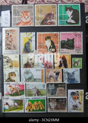 Lviv, Ukraine, 31. Januar 2015 Eine vielfältige Sammlung gebrauchter Briefmarken verschiedener Tiere, einschließlich Katzen und Hunde, aus verschiedenen Ländern Stockfoto