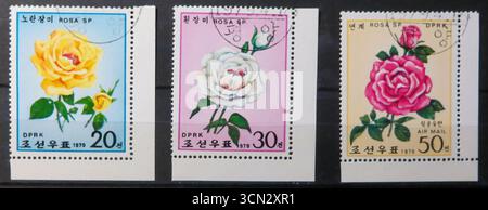 Lemberg, Ukraine, 23. Februar 2015 diese Sammlung zeigt drei gebrauchte Gedenkbriefmarken aus Nordkorea, in denen leuchtende Rosenblüten zu sehen sind Stockfoto
