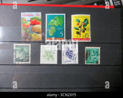 Lviv, Ukraine, 31. Januar 2014 Eine reizvolle Auswahl an gebrauchten Gedenkbriefmarken hebt verschiedene Blumen aus verschiedenen Ländern hervor Stockfoto
