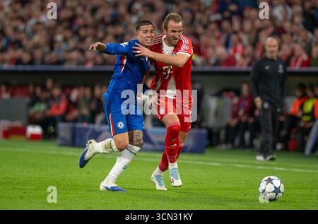 Harry Kane Duell mit Enzo Fernandez Stockfoto