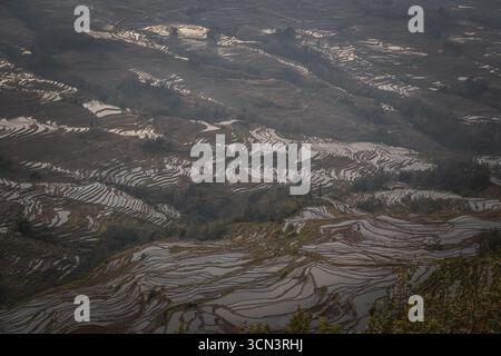 Die Reisterrassen am Standort Bada in Yuanyang County, China. Bada Reisterrassen umfassen eine Fläche von 950 Hektar mit über 3700 Ebenen, die von 800 ME steigen Stockfoto