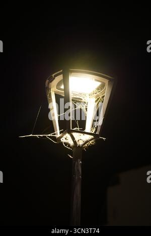 Nachtlicht mit Spinnennetzen und leuchtender Beleuchtung in ruhiger Nachtszene im Freien Urban. Bonifacio, Korsika, Frankreich Stockfoto