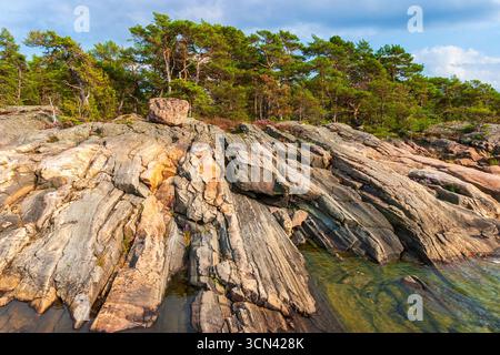 Felsformationen an einem Strand in einem Kiefernwald Stockfoto
