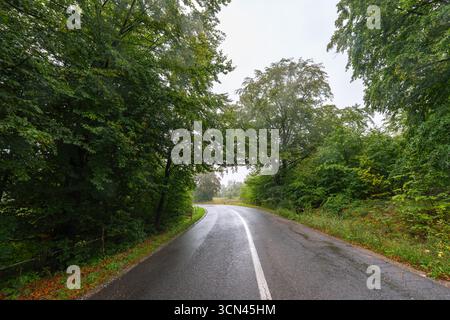 Gekrümmte, nasse Asphaltstraße, die an einem regnerischen, bewölkten Tag durch dichten grünen Wald im Apuseni-Nationalpark führt Stockfoto