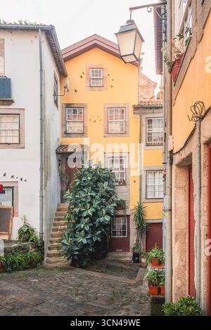 Bezauberndes Gelbes Kolonialgebäude Am Historischen Batalha-Platz Porto Portugal. Traditionelle portugiesische Architektur, kopfsteingepflasterte Straßen Stockfoto
