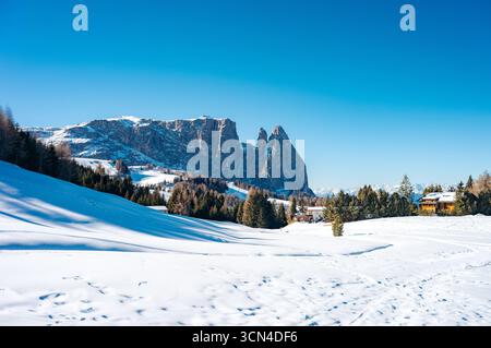 Winterlandschaft in den Dolomiten, Italien, mit schneebedeckten Feldern und Bergen. Stockfoto