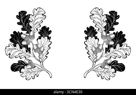 Symmetrische Zusammensetzung von Kontur- und Silhouettenästen aus Eiche mit Eicheln auf weißem Hintergrund. Herbstdesign aus Eiche. Stock Vektor