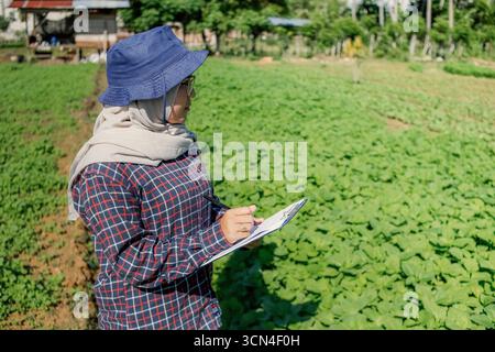 Agrarexperte bei der Inspektion von Kulturen im ökologischen Landwirtschaftsbetrieb für nachhaltige Landwirtschaft“ Stockfoto