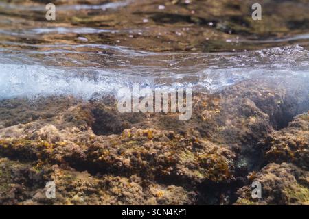 Ein dynamischer Split-Shot-Blick auf eine mächtige Meereswelle, die über ein flaches Riff bricht, das mit braunen Algen und Algen bedeckt ist. Stockfoto