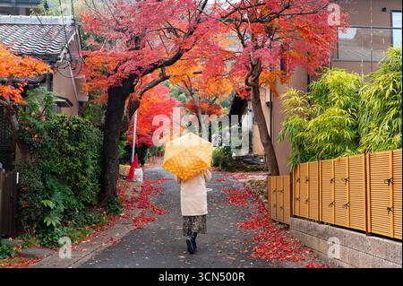 Frau mit Regenschirm geht durch die Autumn Street in Japan Stockfoto
