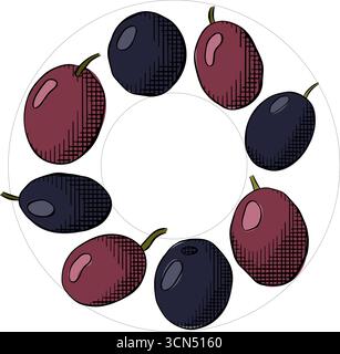 Quadratische Schablone mit schwarzem Beerenkreis. Vektorgrafik Linie farbige Illustration. Fruchtloser Rosmarin, Lorbeerblatt kreisförmiger Rahmen für Karte, Food cosme Stock Vektor