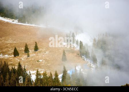Kleine Hütte eingebettet in die Rodung am Berg, umgeben von dichten Kiefernwäldern. Die in Nebel gehüllte Szene schafft eine ruhige und geheimnisvolle Atmosphäre. Schneebesen liegen auf dem Boden. Stockfoto