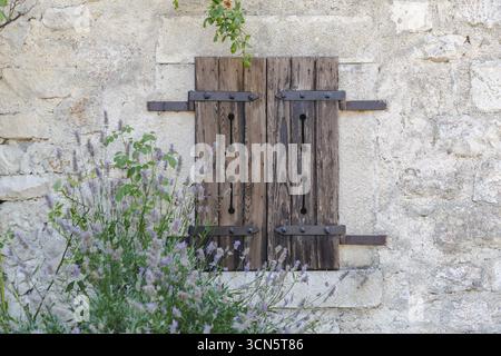 Blick auf verwitterte Holzläden, verziert mit dunklen Eisenbeschlägen, Wachposten an einer rustikalen Steinmauer, umgeben von Lavendel in Bominaco, Abruzzen, Italien. Stockfoto