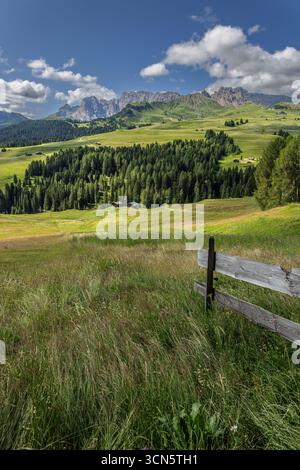 Blick von der Seiser Alm auf die Rosengartengruppe in den Dolomiten, Südtirol, Italien. Stockfoto