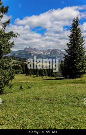 Blick von der Seiser Alm auf die Geislergruppe im Hintergrund in den Dolomiten, Südtirol, Italien. Stockfoto