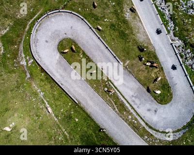 Aus der Vogelperspektive auf eine gewundene Straße, die durch lebendige grüne Wiesen mit weidenden Kühen führt, eine Pastoralsymphonie von oben, Gotthard-Pass, Tessin, Schweiz. Stockfoto