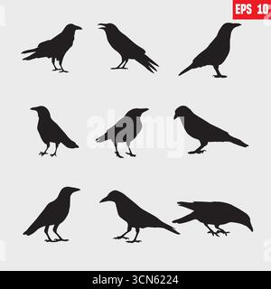 Satz von Vektor-schwarzer Silhouette der Krähe auf dem weißen Hintergrund, Silhouette der Krähen Stock Vektor