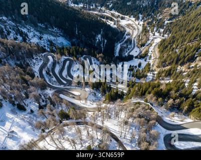 Aus der Vogelperspektive schlängelt sich eine gewundene Bergstraße durch schneebedeckte Kiefern, ein starker Kontrast zum immergrünen Wald, Maloja Pass, Maloja, Schweiz. Stockfoto