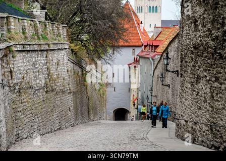Tallinn, Estland - 10. Mai 2013 - historischer Steinweg mit Touristen in der Altstadt von tallinn. Stockfoto