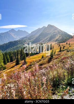 Alpenberge, bedeckt mit Herbstblumenbüschen. Österreichische Alpen mit Wiesen und Wäldern an einem sonnigen Herbsttag Stockfoto