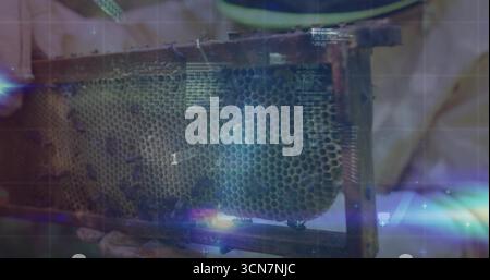 Imker trägt Schutzausrüstung, die den Wabenrahmen im Bienenhaus hält, mit Bienen und Gitterüberlagerung Stockfoto