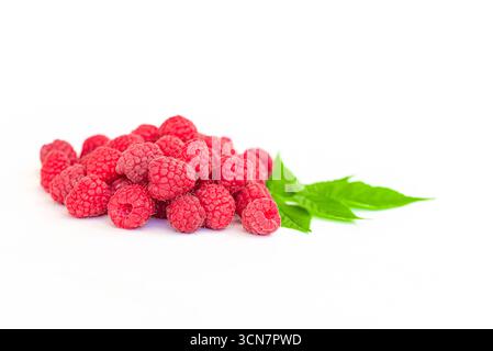 Ein Haufen roter Himbeeren auf weißem Hintergrund. Die Himbeeren stapeln sich übereinander und sind von einem Blatt umgeben Stockfoto