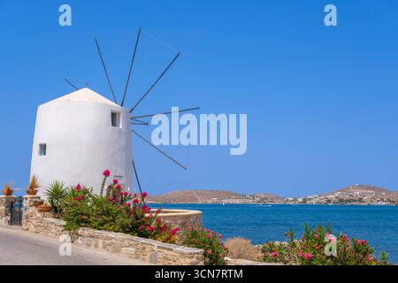 Parikia, Paros, GR - 22. August 2025: Eine traditionelle Windmühle steht neben blühender Bougainvillea mit der Ägäis im Hintergrund Stockfoto