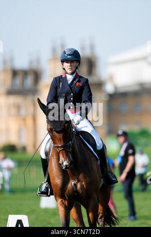 Laura Collett aus Großbritannien mit London 52 während der Dressur bei der Agria FEI Eventing Europameisterschaft im Blenheim Palace am 19. September 2025, Woodstock, Vereinigtes Königreich (Foto: Maxime David - MXIMD Pictures) Stockfoto