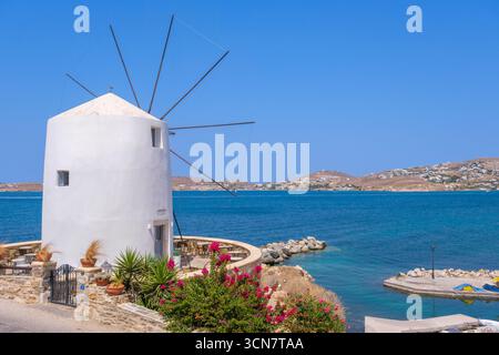 Parikia, Paros, GR - 22. August 2025: Eine traditionelle Windmühle steht neben blühender Bougainvillea mit der Ägäis im Hintergrund Stockfoto