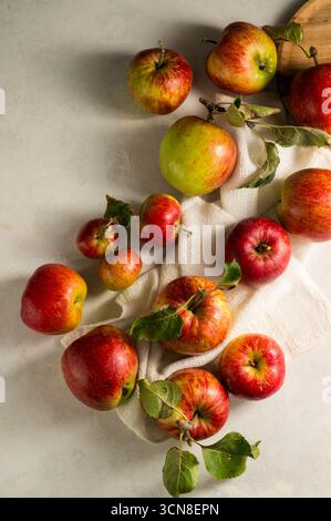 Frisch gepflückte rote Äpfel auf Teller, rustikaler heller Hintergrund, Blick von oben Stockfoto