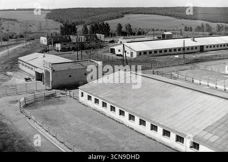 Ein historisches Panoramafoto aus den 1980er Jahren, aufgenommen aus einem hohen Winkel, das den großen Molkereikomplex des „Ukraine“ Kolchoz im Dorf Khrestyschche, ukrainische SSR, zeigt. Die langen, parallelen Reihen von Kuhställen mit Schieferdächern demonstrieren den industriellen Ansatz der Landwirtschaft im spätsowjetischen Donbass. Das Bild ist ein Dokument, das die Architektur und Produktionskraft der sowjetischen Agrarindustrie widerspiegelt Stockfoto