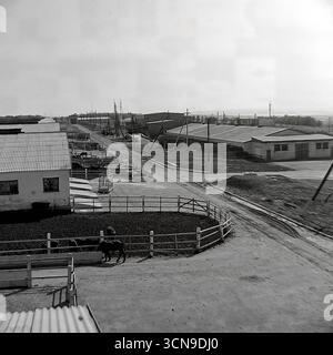 Ein historisches Panoramafoto aus den 1980er Jahren, das einen allgemeinen Blick und die Infrastruktur des Molkereibetriebs „Ukraine“ Kolchoz im Dorf Khrestyschche, ukrainische SSR, zeigt. Die Hochwinkelaufnahme zeigt die Größe des sowjetischen agro-industriellen Komplexes: Zahlreiche Kuhställe, Korralen, Straßen, Silos und Wassertürme, im Spiegel des industriellen Ansatzes der Landwirtschaft im spätsowjetischen Donbass Stockfoto