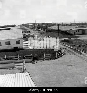 Ein historisches Panoramafoto aus den 1980er Jahren, das einen allgemeinen Blick und die Infrastruktur des Molkereibetriebs „Ukraine“ Kolchoz im Dorf Khrestyschche, ukrainische SSR, zeigt. Die Hochwinkelaufnahme zeigt die Größe des sowjetischen agro-industriellen Komplexes: Zahlreiche Kuhställe, Korralen, Straßen, Silos und Wassertürme, im Spiegel des industriellen Ansatzes der Landwirtschaft im spätsowjetischen Donbass Stockfoto