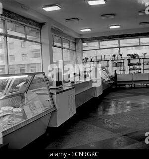 Ein historisches Foto aus dem Jahr 1983, das die Verkaufsfläche und die Theken der Delikatessenabteilung im Kaufhaus „Universal“ in Sloviansk, ukrainische SSR, zeigt. Die langen Reihen gekühlter Vitrinen und eine Verkäuferin hinter der Theke schaffen eine authentische Atmosphäre des sowjetischen Handels während der „Ära der Stagnation“. Das Bild spiegelt das typische Innenleben und das tägliche Leben eines großen Lebensmittelgeschäfts dieser Zeit wider Stockfoto