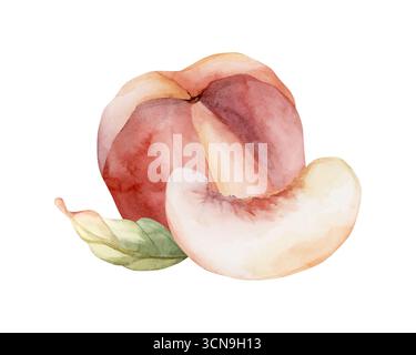 Pfirsichfruchtescheibe. Sommer Aquarell Hand gezeichnet blumige reife Lebensmittel Illustration isoliert auf weißem Hintergrund für niedliche Hauptküche Textil frisch fa Stockfoto