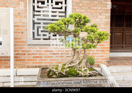 Europäische Familie, Besuch der Provinz Ninh Binh, Wandern, Radfahren und eine Bootsfahrt, Kind genießt Sommerurlaub in Vietnam Stockfoto