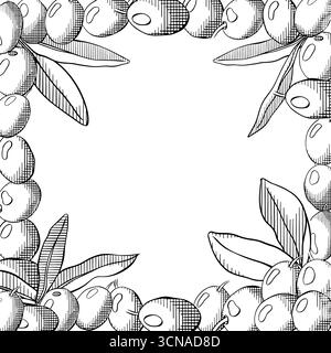 Oliven Hintergrund. Schablone mit quadratischem Rahmen aus olivgrünen Beeren und Blättern. Grafischer Vektorstrich Tinte Schwarz-weiß-Illustration. Mediterrane Küche Menü d Stock Vektor