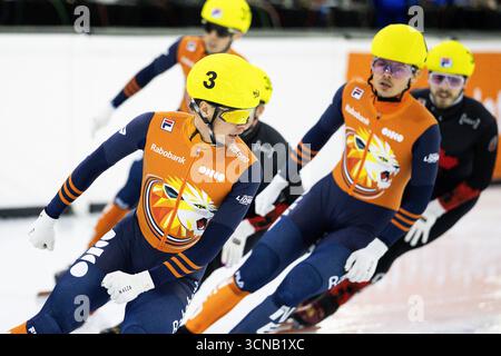HEERENVEEN – Jens van 't Wout, Melle van 't Wout (l-r) während des 500-Meter-Halbfinales am zweiten Tag der Dutch Open Short Track Speed Skating Championships im Thialf Ice Stadium. Die besten niederländischen Short-Track-Speed-Skater nehmen an diesem ersten internationalen Wettbewerb teil, um zu bestimmen, welche Skater die Niederlande bei den ersten beiden ISU World Tour Events vertreten werden. ANP VINCENT JANNINK Stockfoto