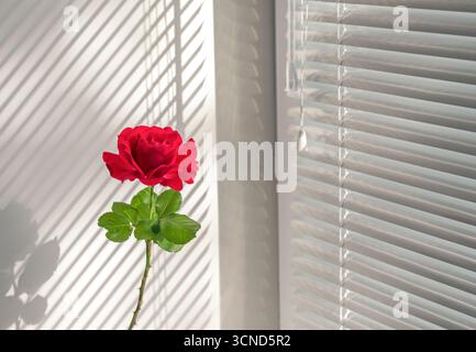 Eine rote Rose sitzt in einer Vase auf einem Tisch. Die Rose ist der Hauptfokus des Bildes und wird von einem weißen Hintergrund umgeben. Das Konzept der Schönheit und Stockfoto
